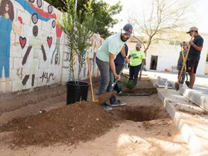 people planting trees in a dirt patch against a mural-painted cinderblock wall.