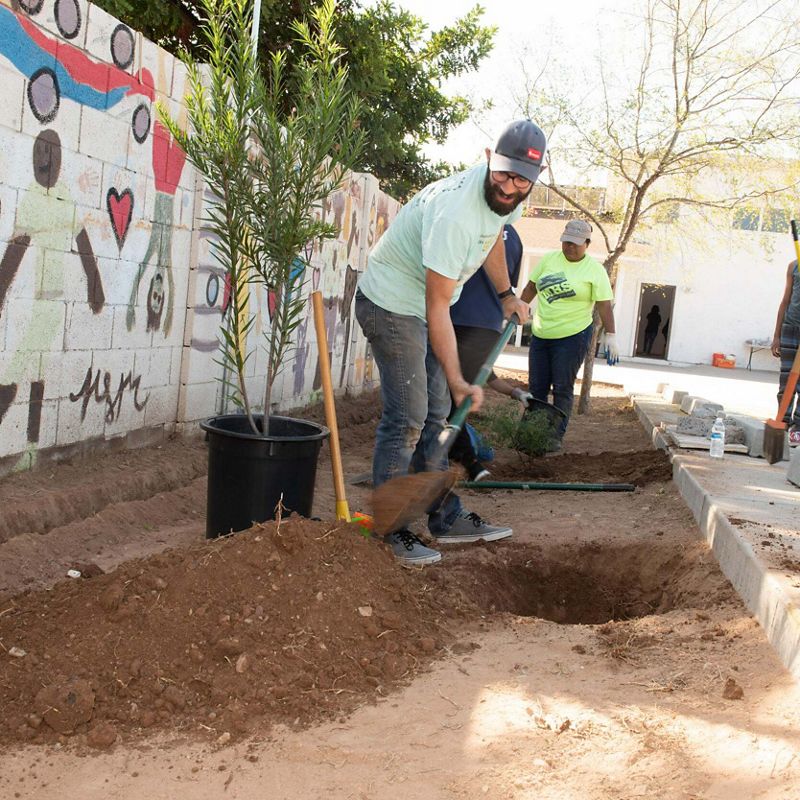 a group of people planting trees in a small plot next to a mural-painted cinderblock wall.