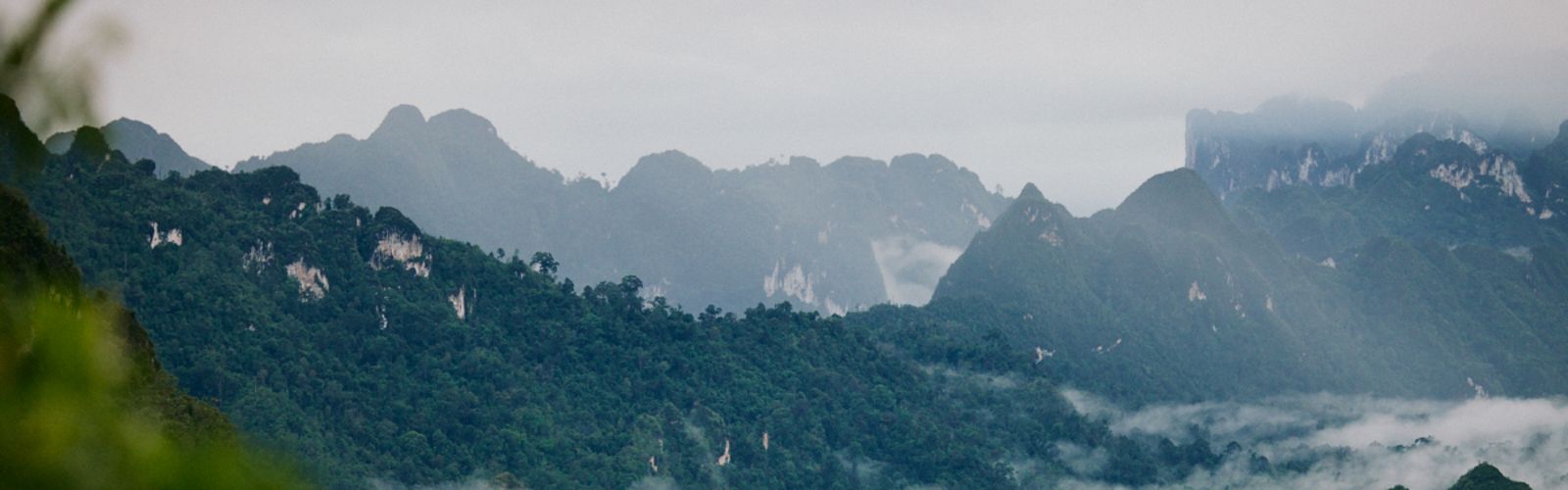 clouds settling in a mountainous forest landscape.
