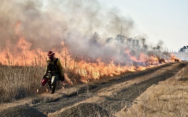 A man in fire gear walks along a dirt road using a drip torch to ignite a controlled burn. A wall of smoke and fire rises behind him.
