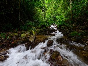 Colombia, Valle del Cauca, Municipio de Pradera, quebrada agua clara en la via a la vereda el arenillo