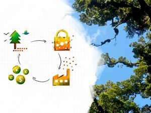 Graphic over a blue sky, showing a tree, with arrow to a lock, arrow to factory emissions, arrow to coins, and arrow back to tree.