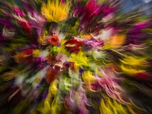 A bouquet of flowers with blossoms of red, yellow, magenta and white seems to swirl and move in a riot of color.