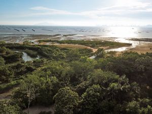 An aerial shot of Pak Nai highlighting its natural beauty.
