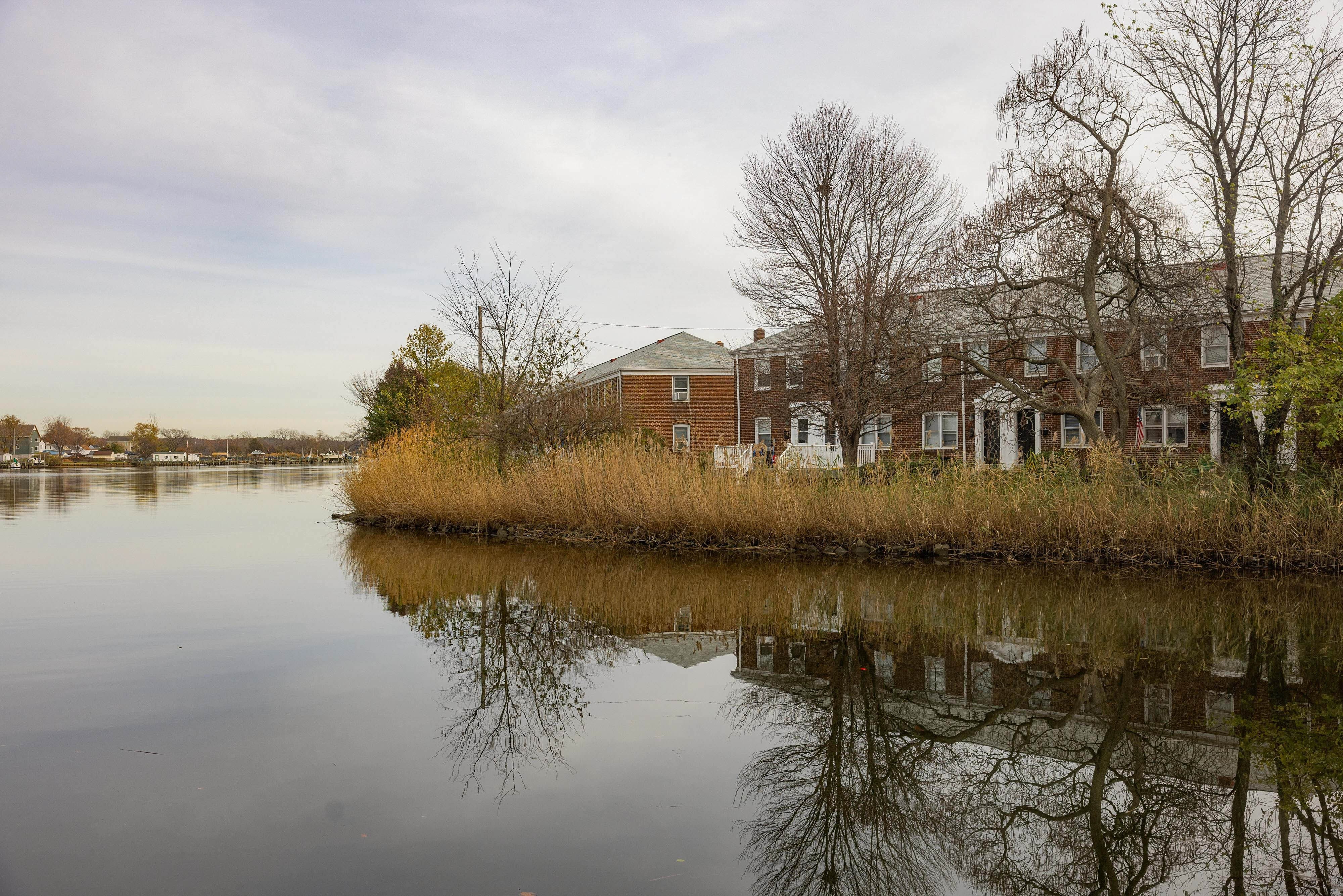 houses stand alongside grass, leafless trees and water.