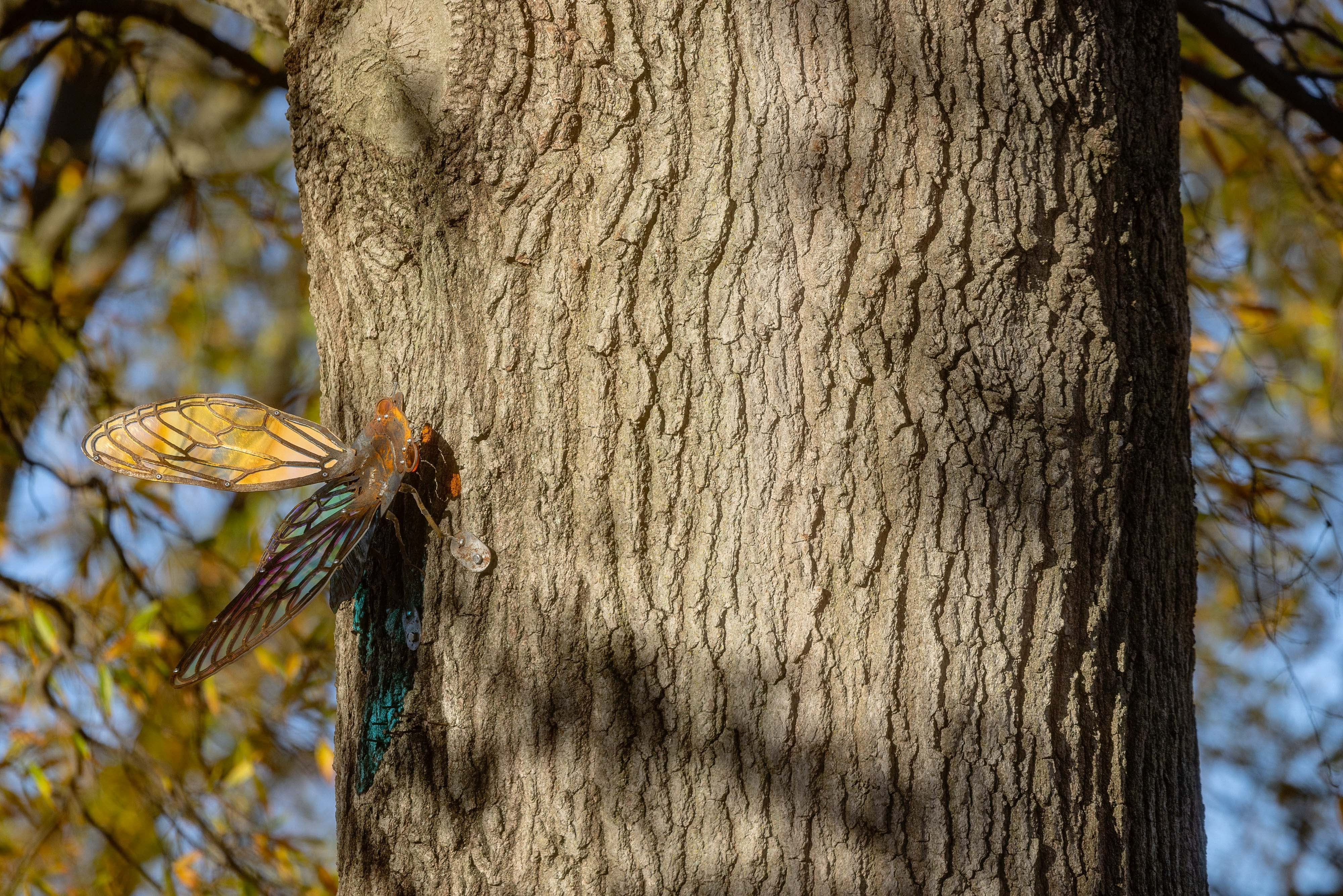 a stained glass sculpture of an insect stands on a tree trunk.