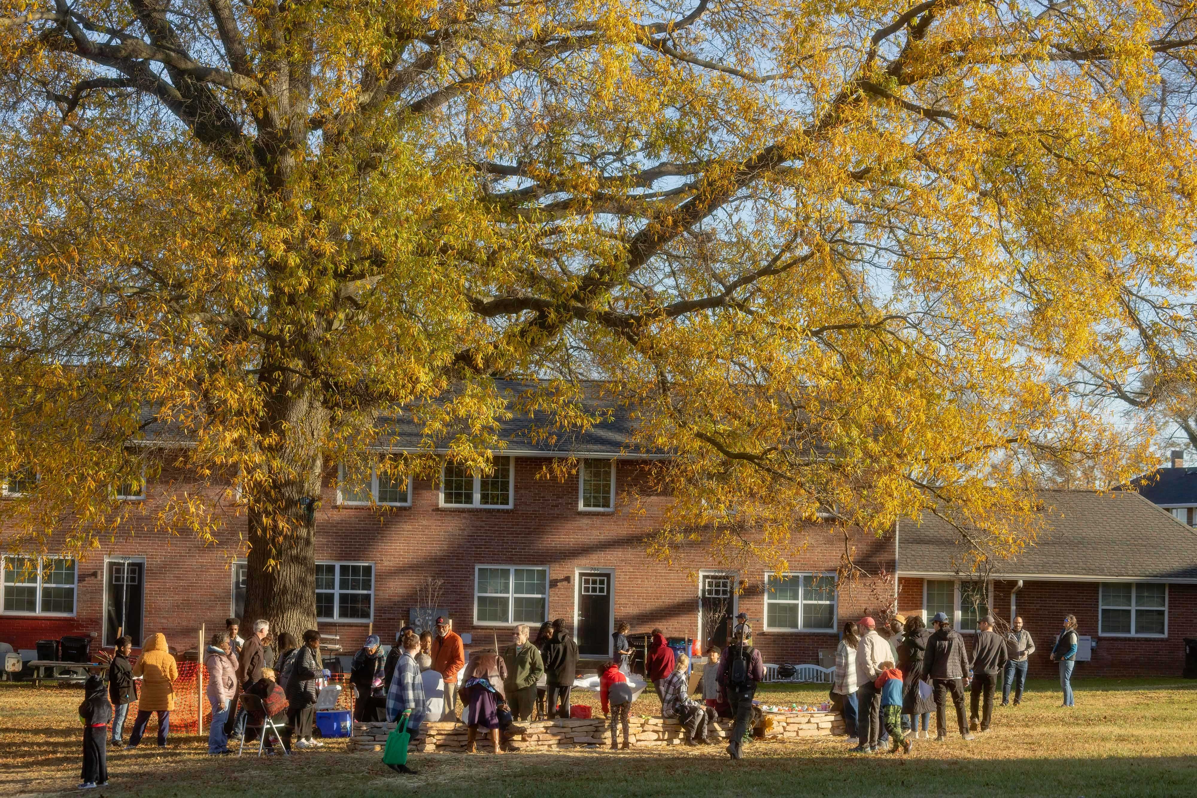 A group of people gather outside of a building under a large tree.