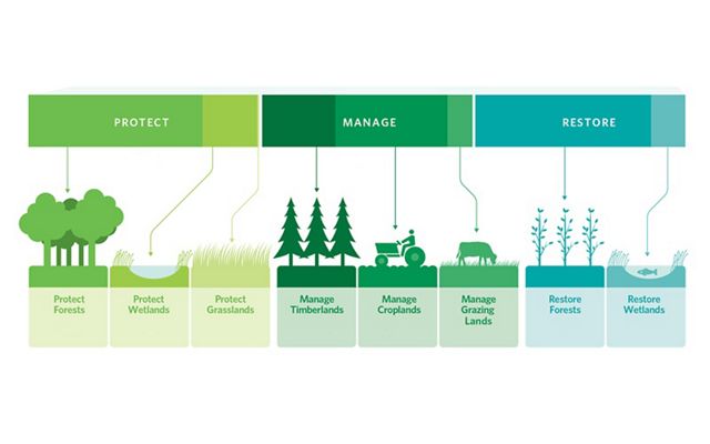 graphic showing protect manage restore pathways.