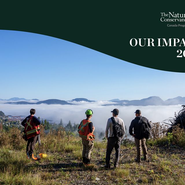 Cover of the 2024 impact report showing four people standing on a cliff looking out across a foggy expanse with mountains in the distance.