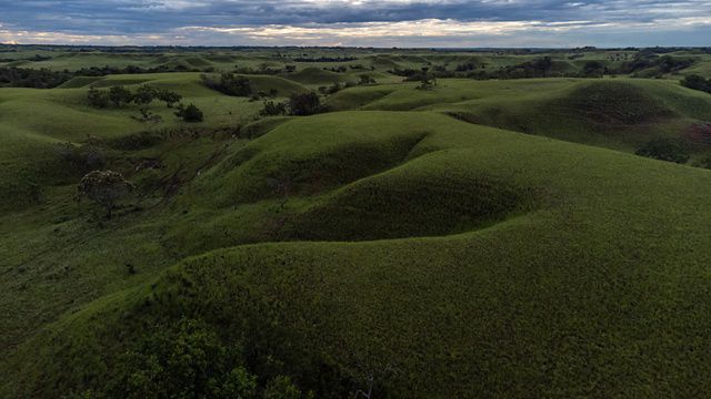 An undulating, grassy savanna.