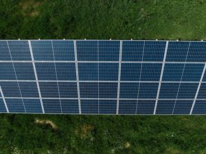 Solar panels in tight rows reflect back sunshine.