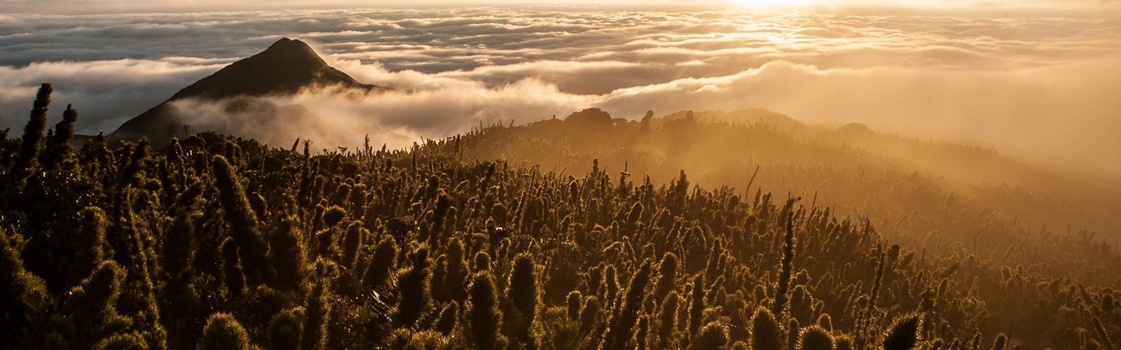 Sunrise above fields in Caratuva, Brazil.