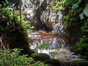 Chingaza National Park