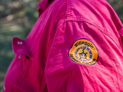 close up of a ranger badge.