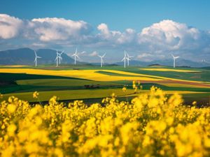 The blooming season. Integrating nature and people in the clean energy transition.