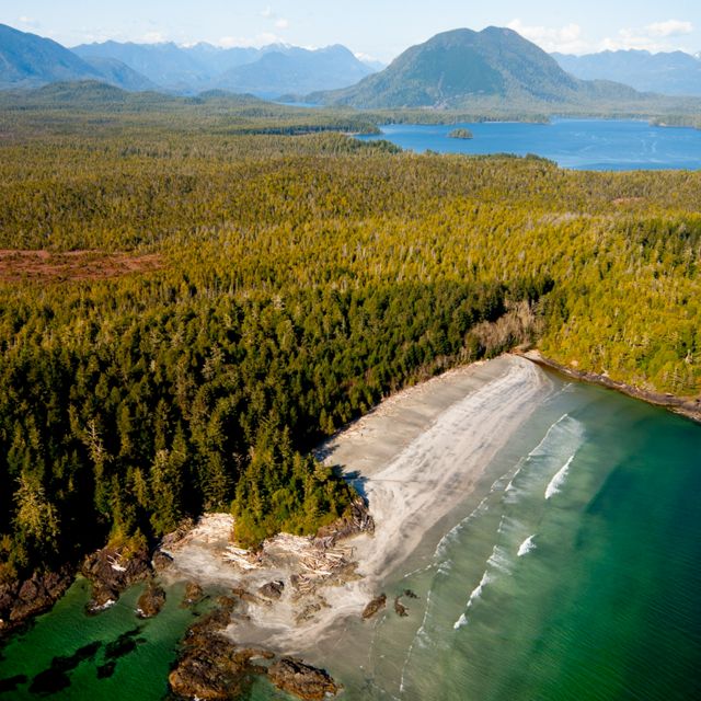 Aerial view of British Columbia's southern coast, with a body of water along the edge of dense forests and mountains in the distance.