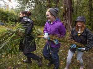Young people carrying a bundle of felled trees.