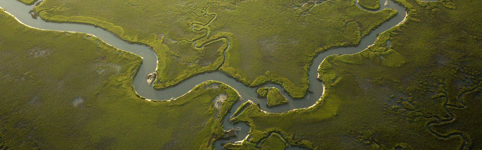 winding rivers and creeks through a green landscape.